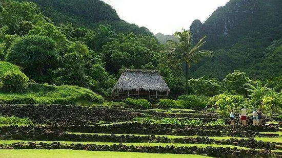 Puamana 2C Apartment Princeville