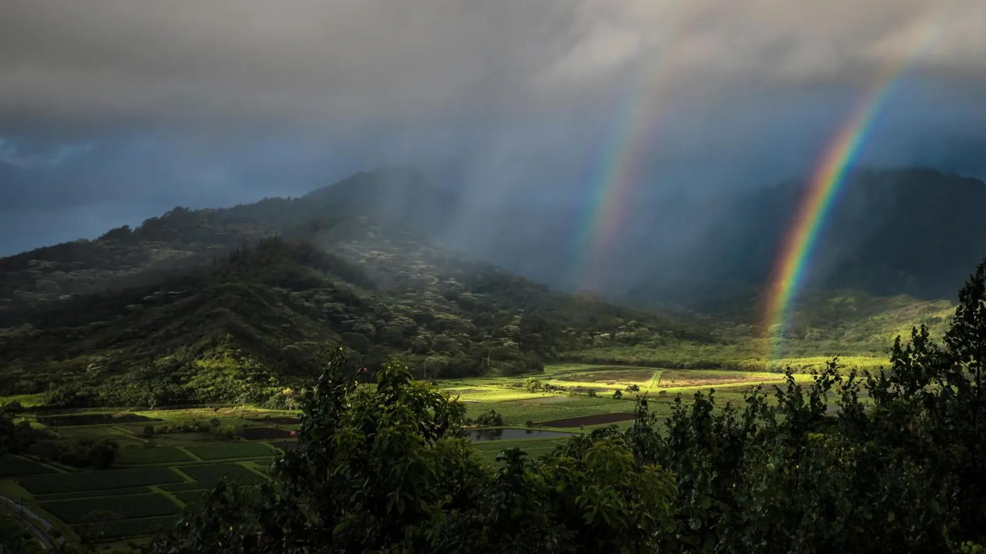 Puamana 2C Apartment Princeville 0*,  United States